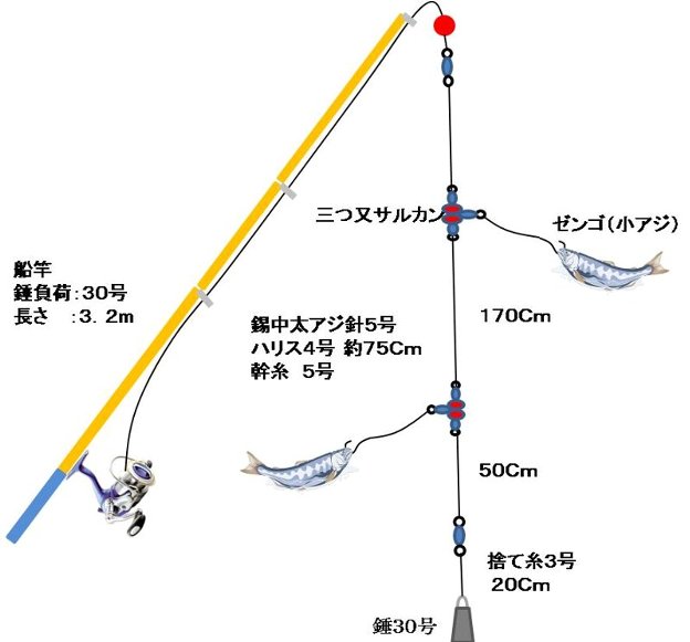ハマチ 紋鯛の釣り仕掛け