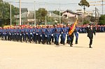 70113331.jpg