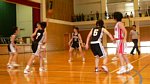 50620064.jpg