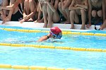 60725061.jpg