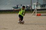 80612184.jpg