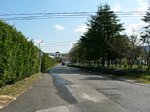 41028225.jpg