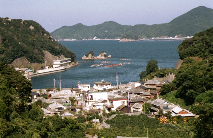 久保泊