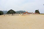130615509.jpg