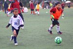 141130259.jpg