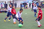 141130263.jpg
