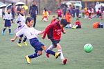 141130264.jpg