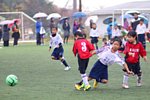 141130267.jpg