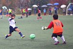 141130270.jpg