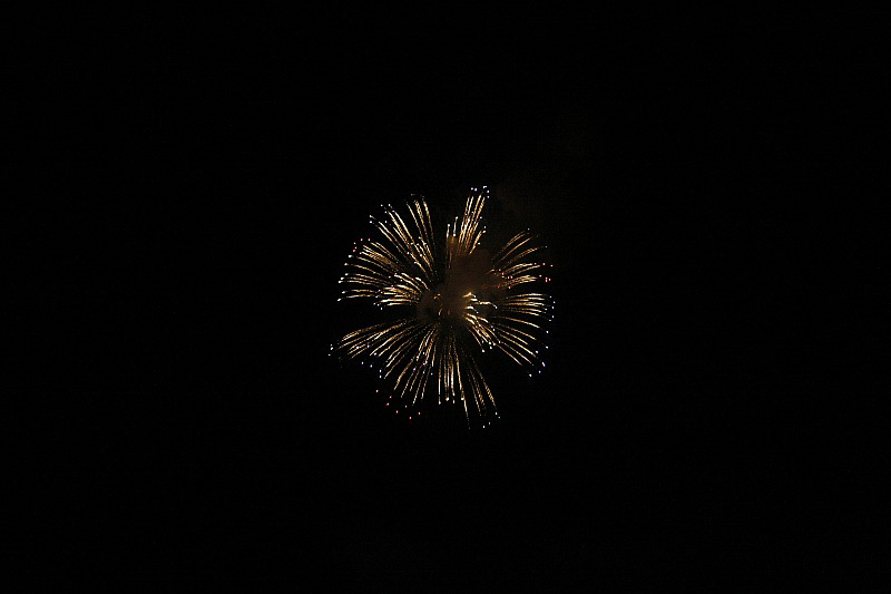 _MG_1973